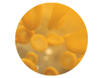 Yellow circles floating to represent serum