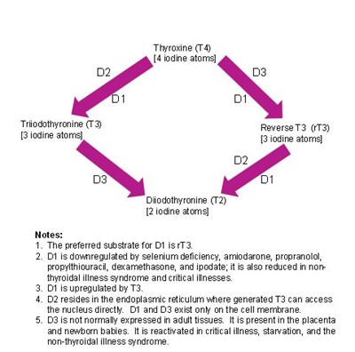 RT3 diagram