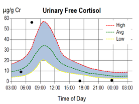 Urinary Free Cortisol graph