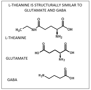 L-theanine graphic