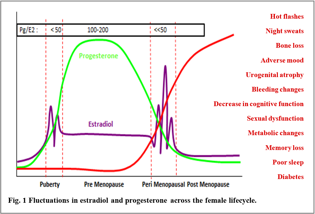 Menstrual Cycle Mood Swings Chart