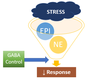 GABA sleep diagram