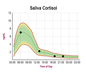 Cortisol Testing in Saliva, Blood & Urine - ZRT Laboratory