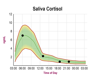 Diurnal Cortisol Curves – Saliva vs Urine