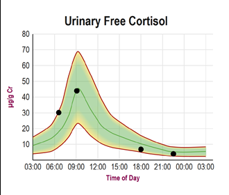 Diurnal Cortisol Test