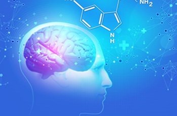 The Impact of Hormones on Serotonin in Depression