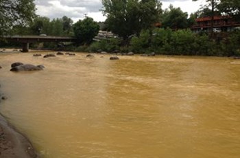 Colorado Mine Spill Makes High Levels of Heavy Metals a Threat to Humans & Wildlife