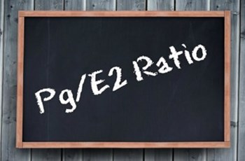 The Pg/E2 (Progesterone/Estradiol) Ratio