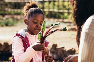 Heavy Metals in the Garden: Are Your Home-Grown Fruits and Vegetables Safe for Consumption?