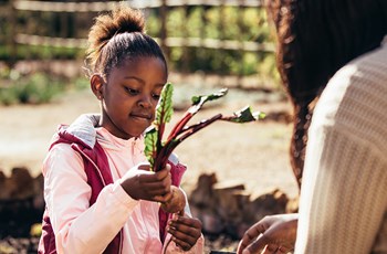 Heavy Metals in the Garden: Are Your Home-Grown Fruits and Vegetables Safe for Consumption?