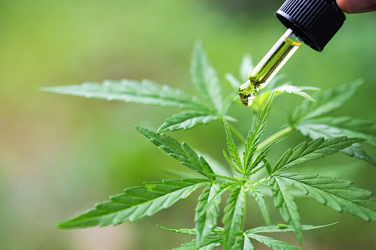 The Effects of Cannabis - Part 2: Cannibidiol Blog by Dr. Zane Hauck with ZRT Laboratory