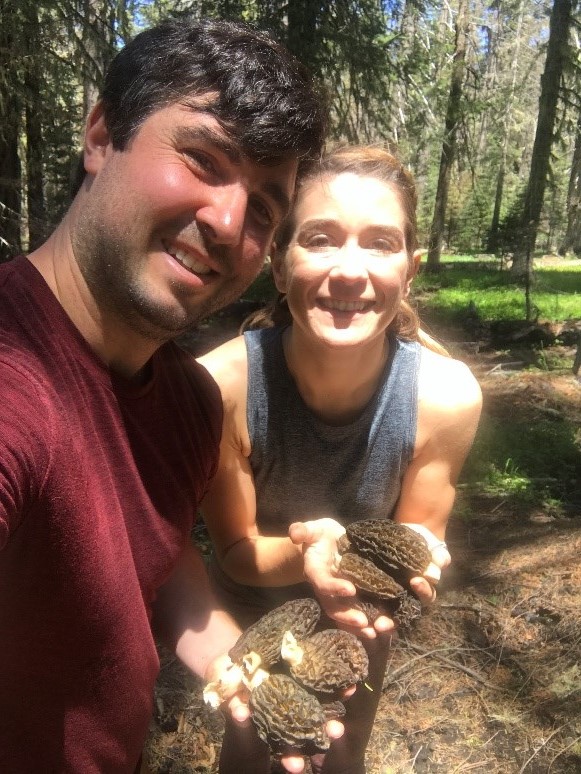 Morel Mushrooms