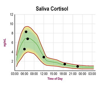 Cortisol Testing in Saliva, Blood & Urine - ZRT Laboratory