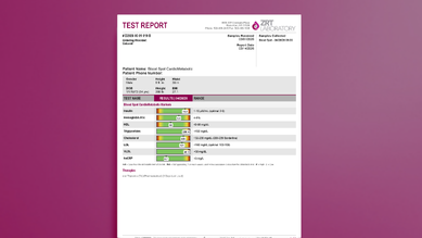 Blood Spot CardioMetabolic Sample Test Report